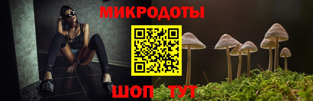 Псилоцибиновые грибы Magic Shrooms  Вход с VPN  Новозыбков 