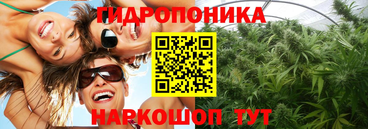 Новозыбков  Бошки марихуана Bruce Banner  Шишки марихуана MAZAR  Вход с VPN 