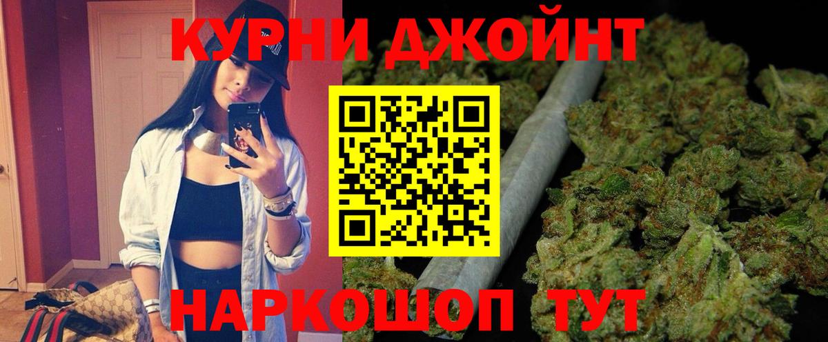 Канабис гибрид Новозыбков